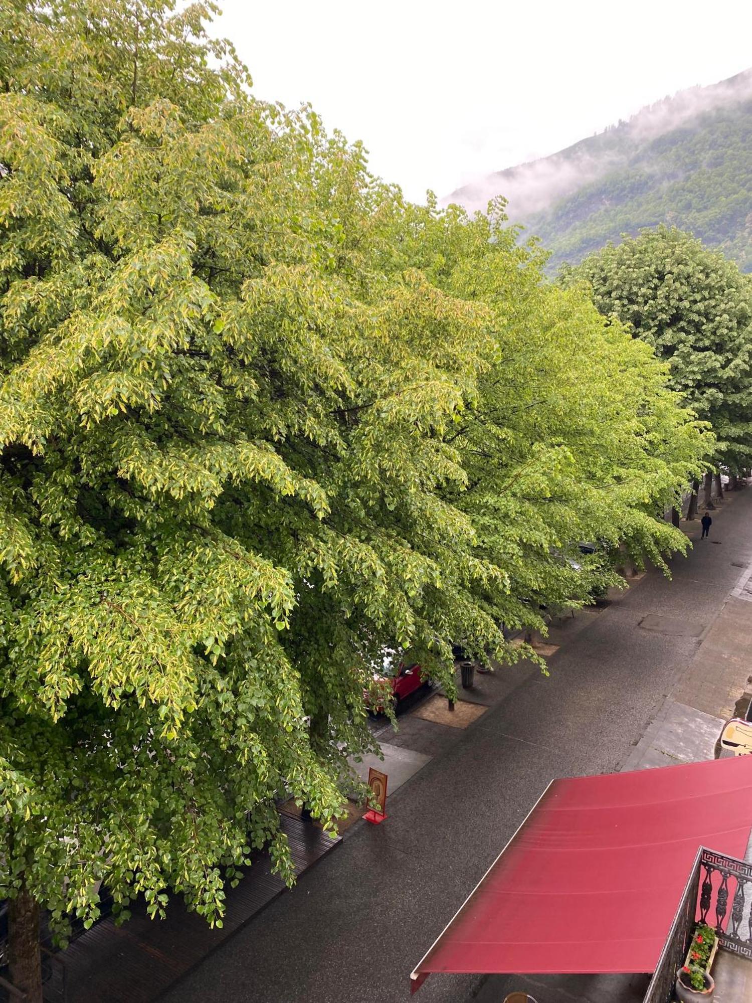Bagnères-de-Luchon Au 47 Allees D'Etigny - Central & Standing - Avec Parking - Linge De Lit Et De Toilette Inclus מראה חיצוני תמונה